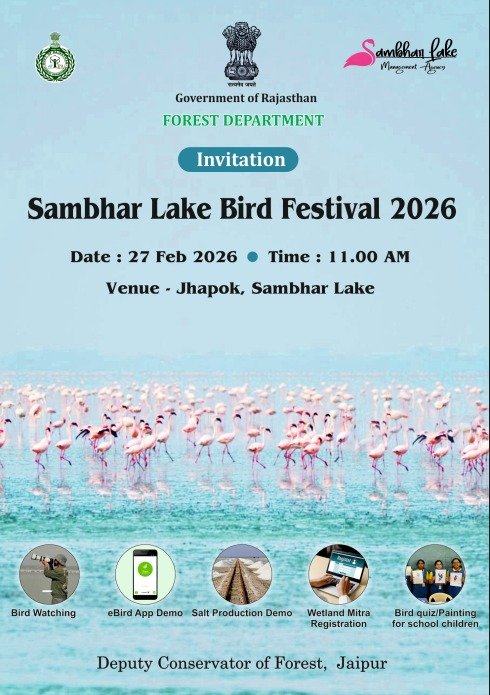 सांभर झील में 27 फरवरी को होगा बर्ड फेस्टिवल 